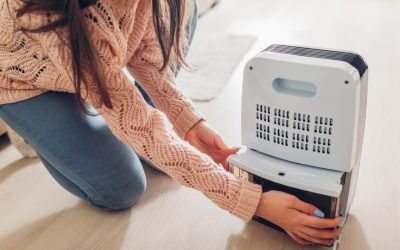 7 Tips to Improve Indoor Air Quality for a Comfortable Fall and Winter